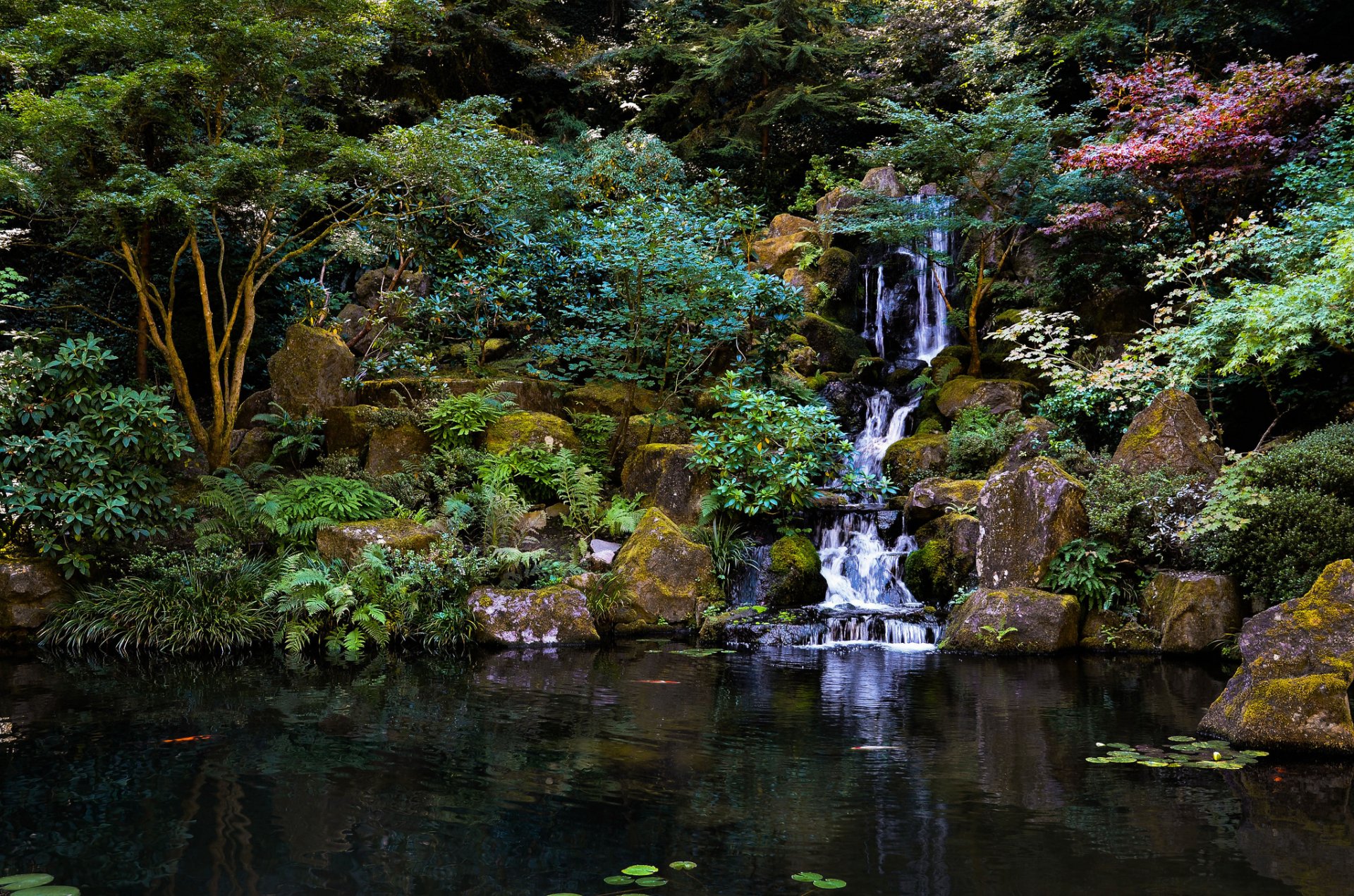 japanese garden waterfall stones tree pond park