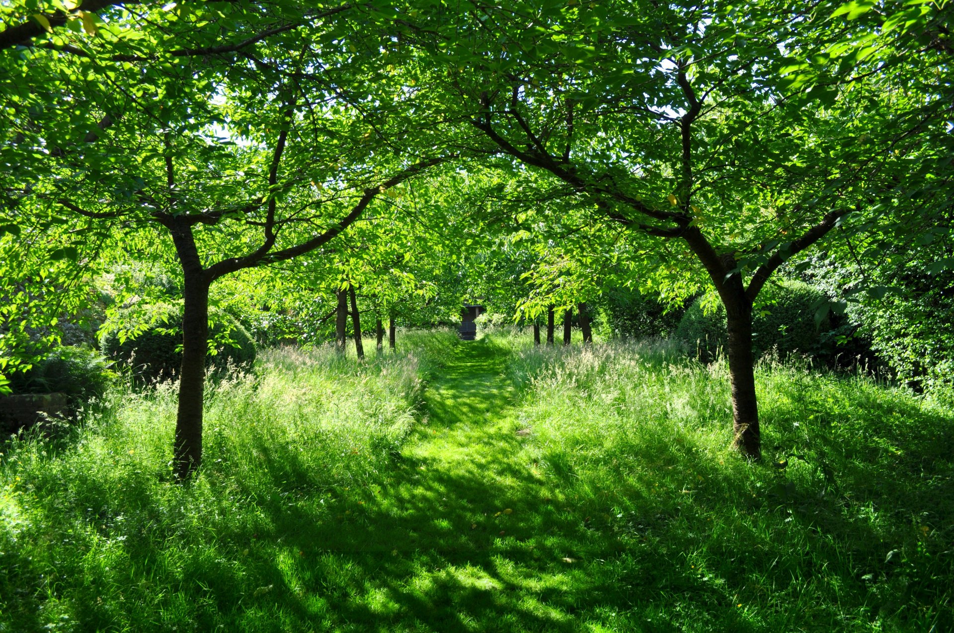 estate verde sole bellezza