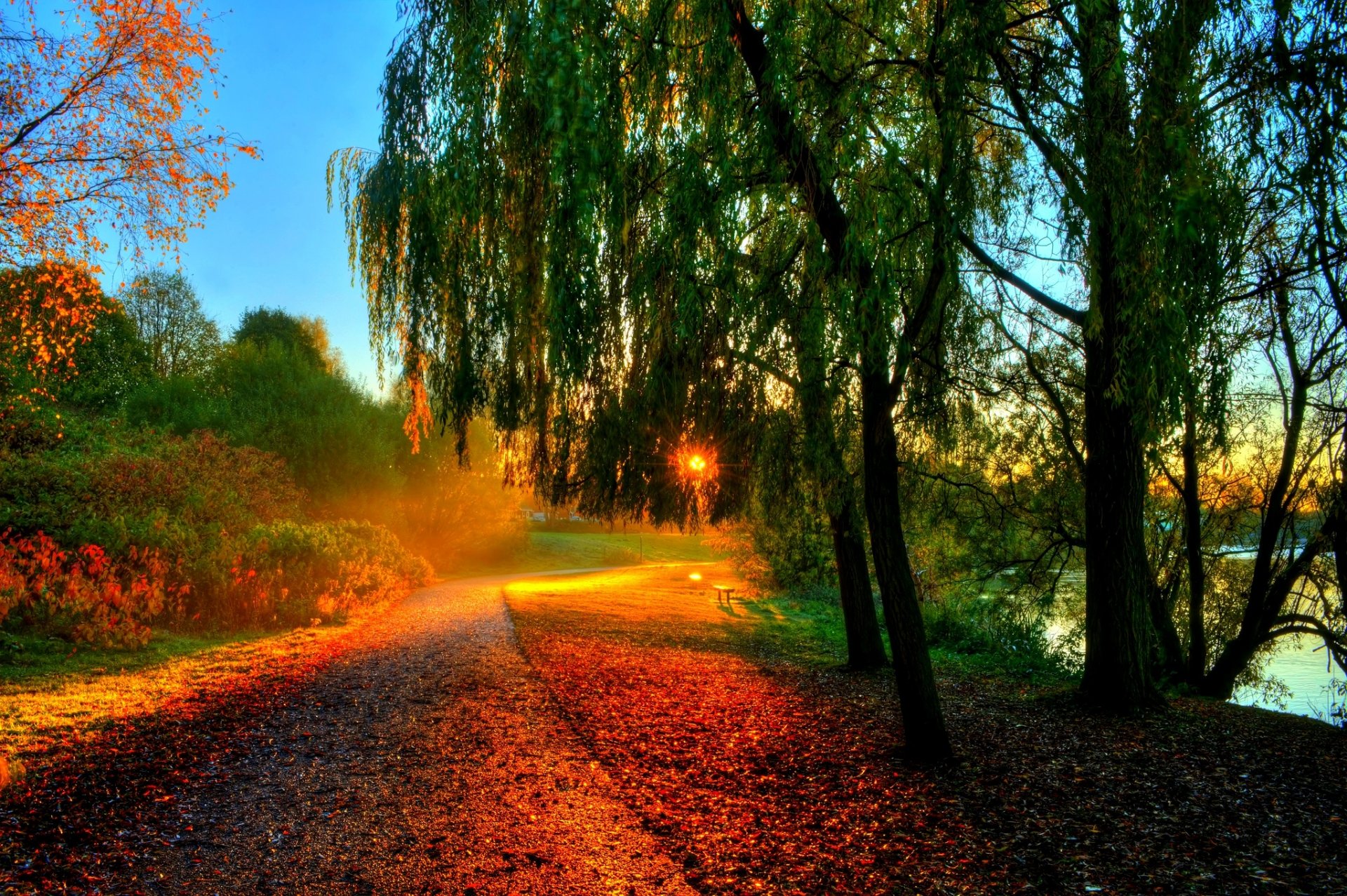 hojas árboles sol puesta de sol rayos banco bosque otoño paseo hdr naturaleza río agua banco