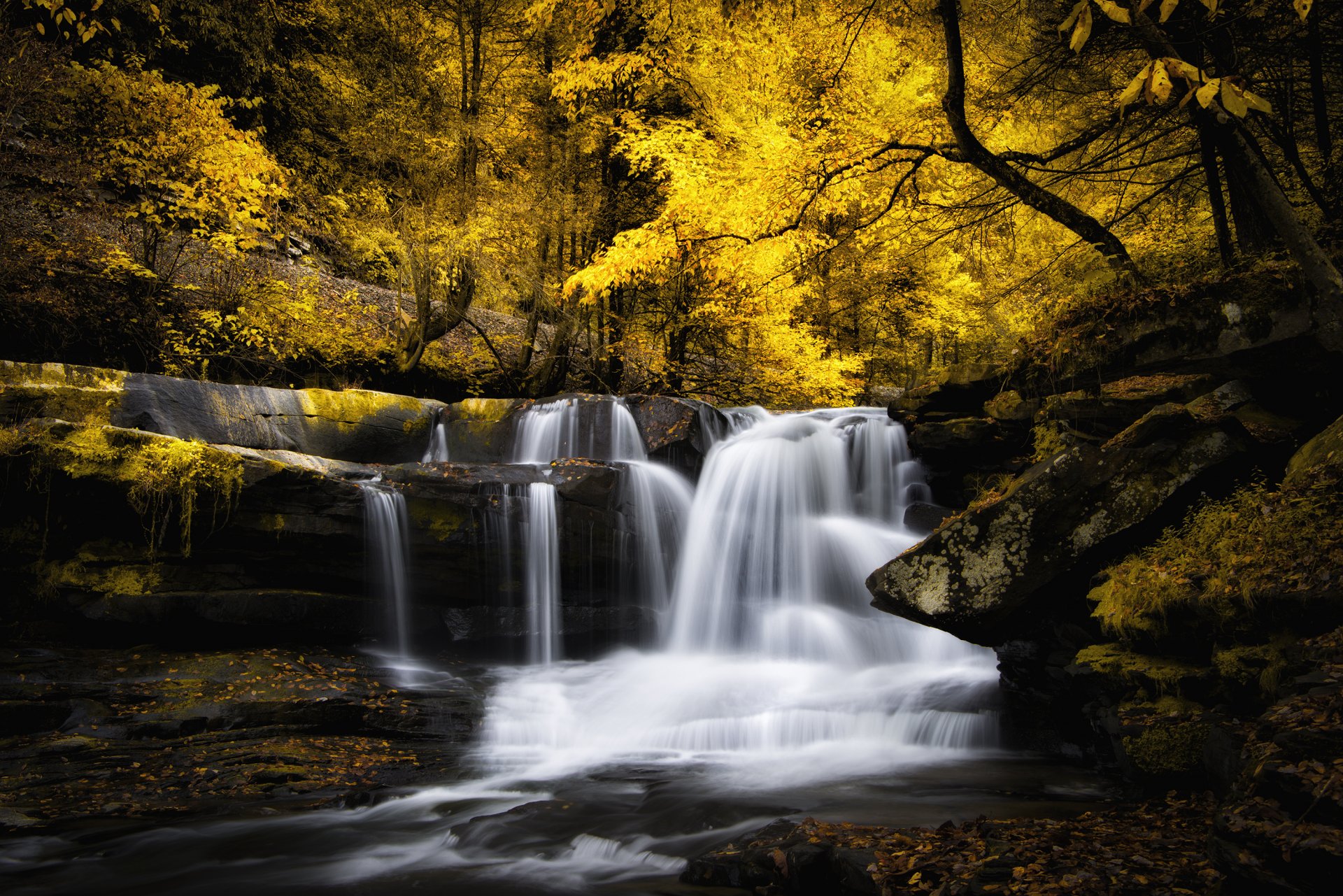 autumn forest river waterfall stage feed