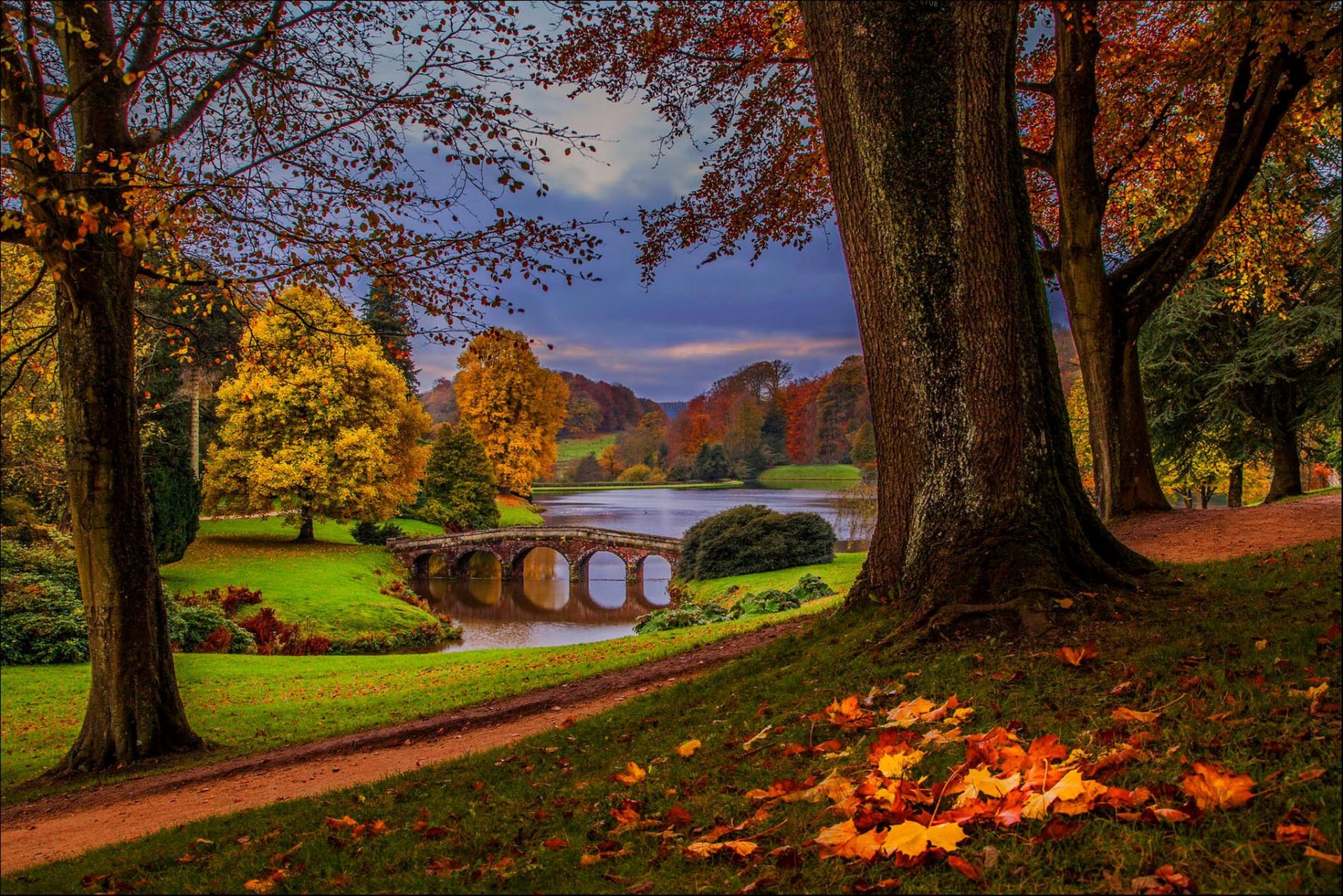 foglie parco vicolo alberi foresta autunno passeggiata hdr natura fiume acqua cielo vista caduta vista