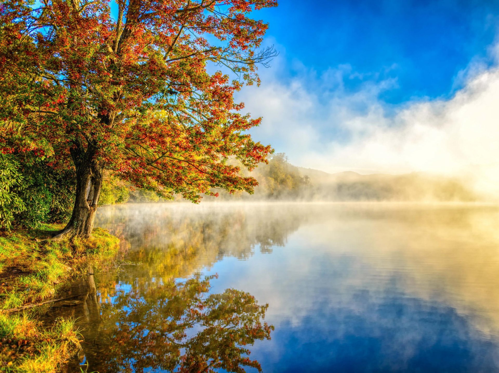 paesaggio foschia natura lago autunno foresta