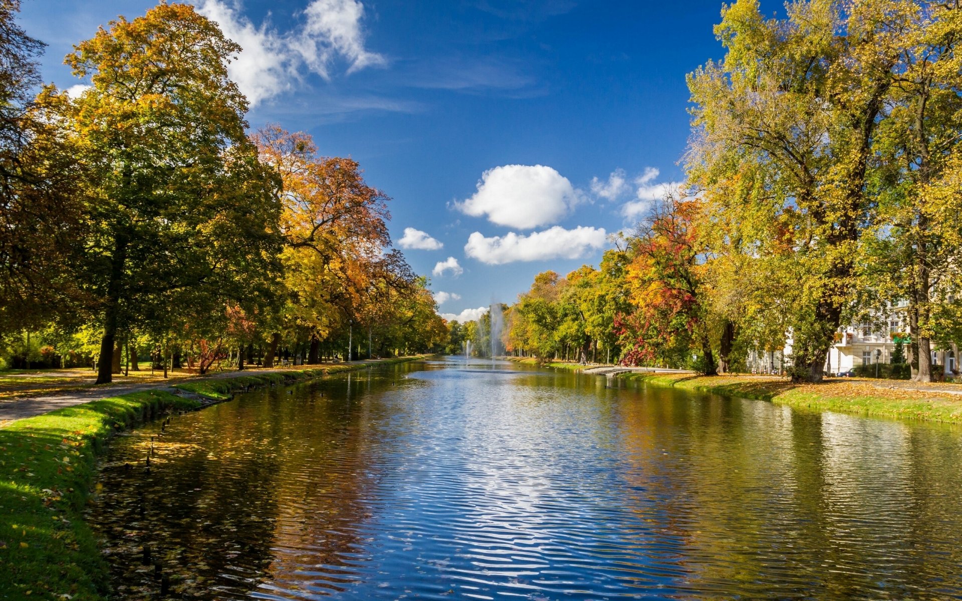 alberi vicolo fiume fontane autunno parco