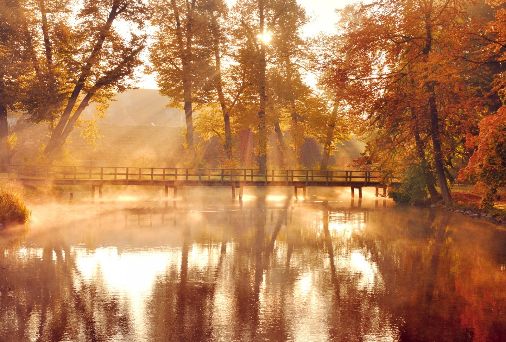 herbst natur bäume blätter orange gelb see wasser reflexion brücke sonne licht