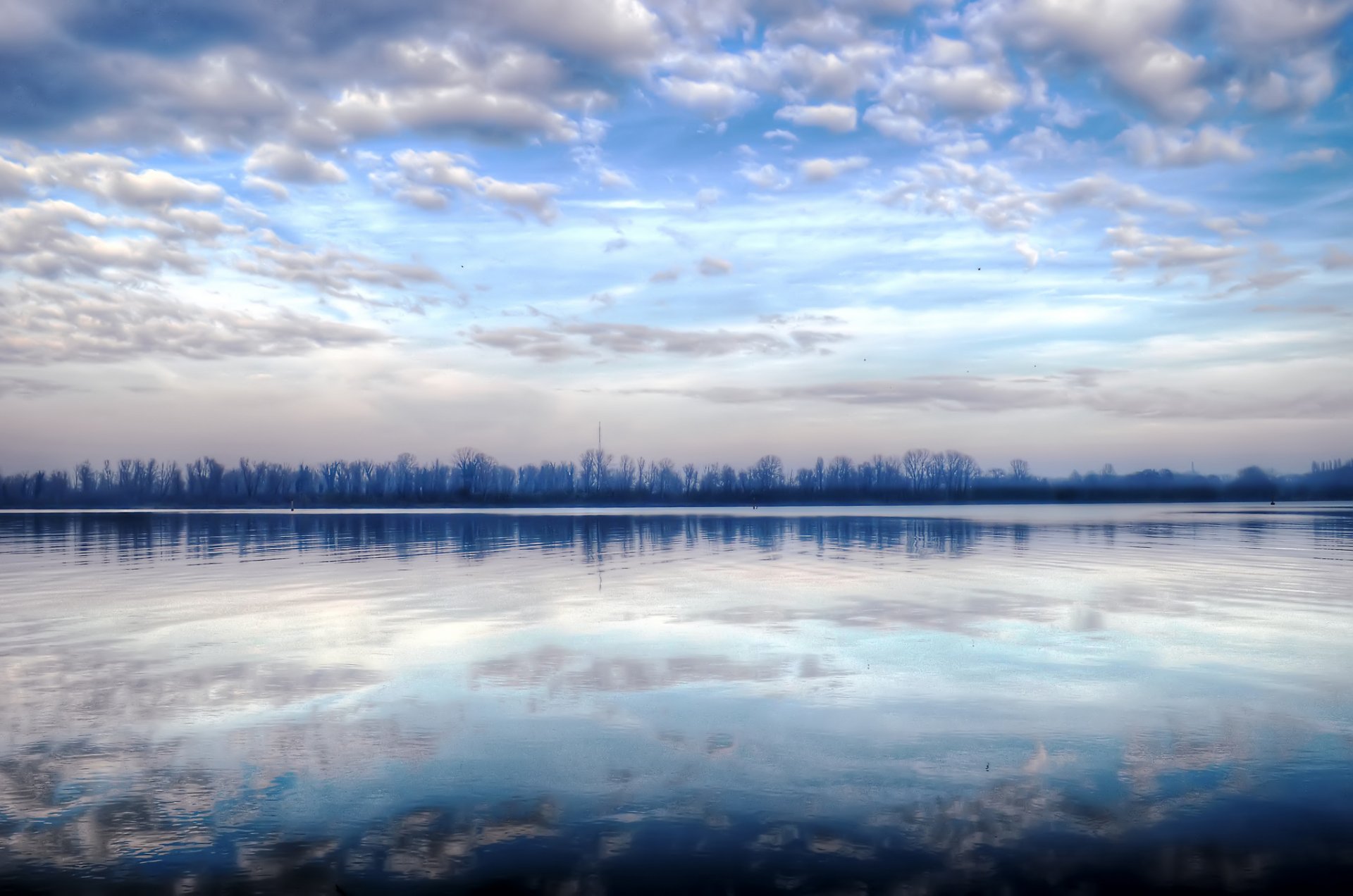 bosque lago reflexión mañana invierno