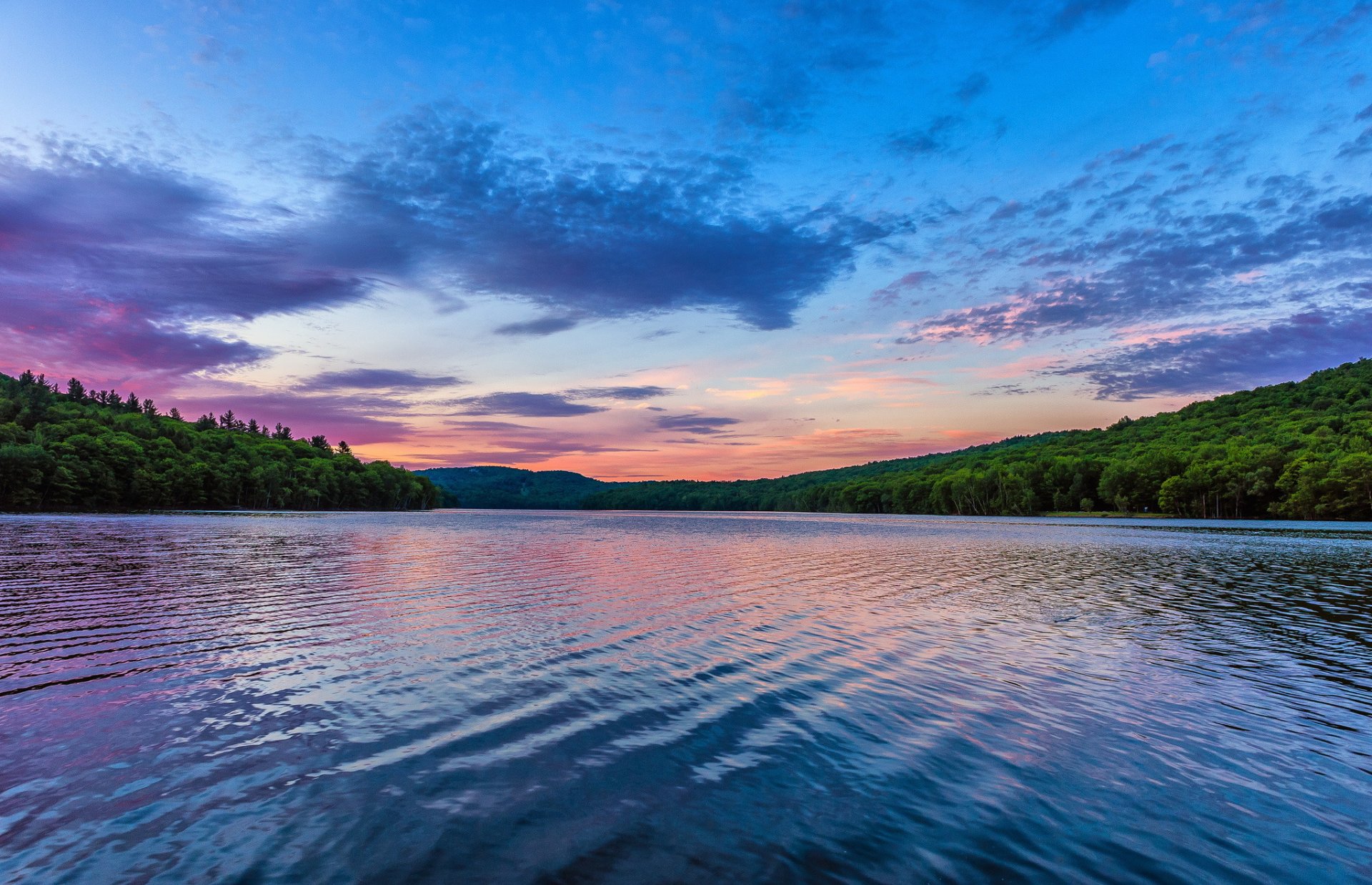 forêt lac matin aube