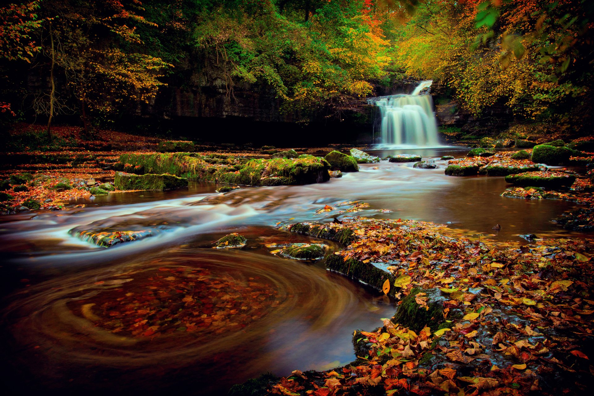 northern england yorkshire forest waterfall autumn october extract foliage