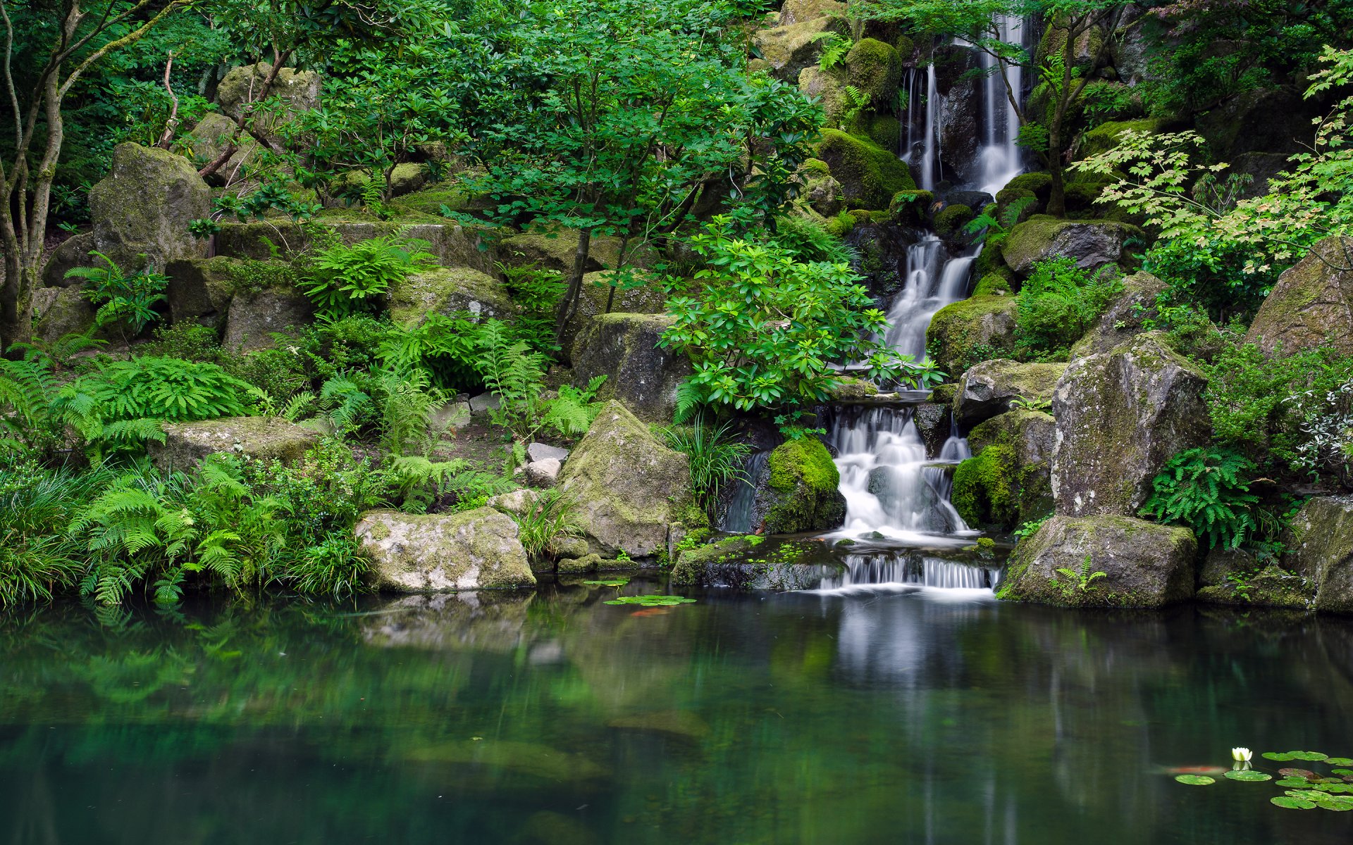 jardín japonés parque cascada piedras