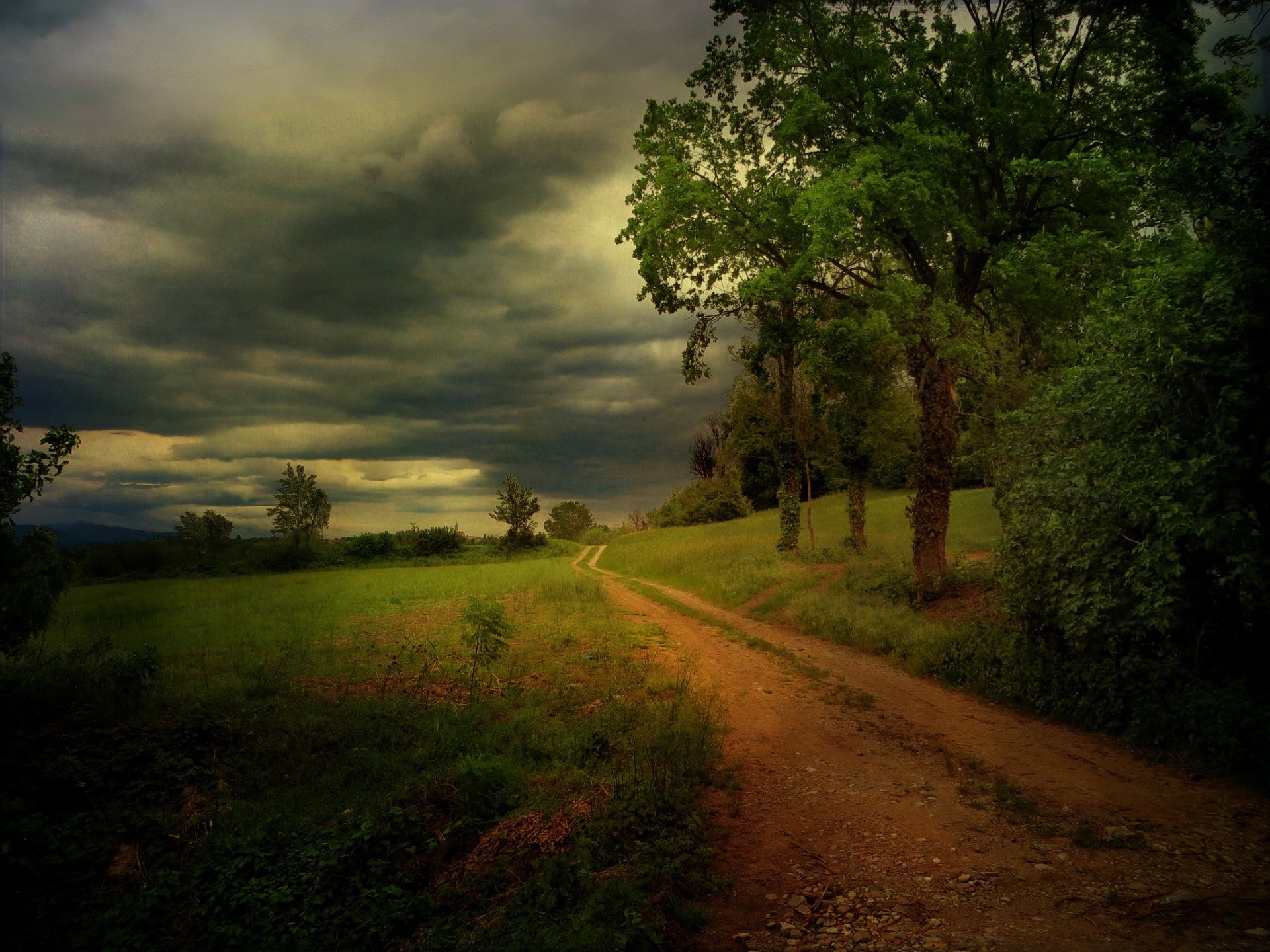 bäume straße wolken