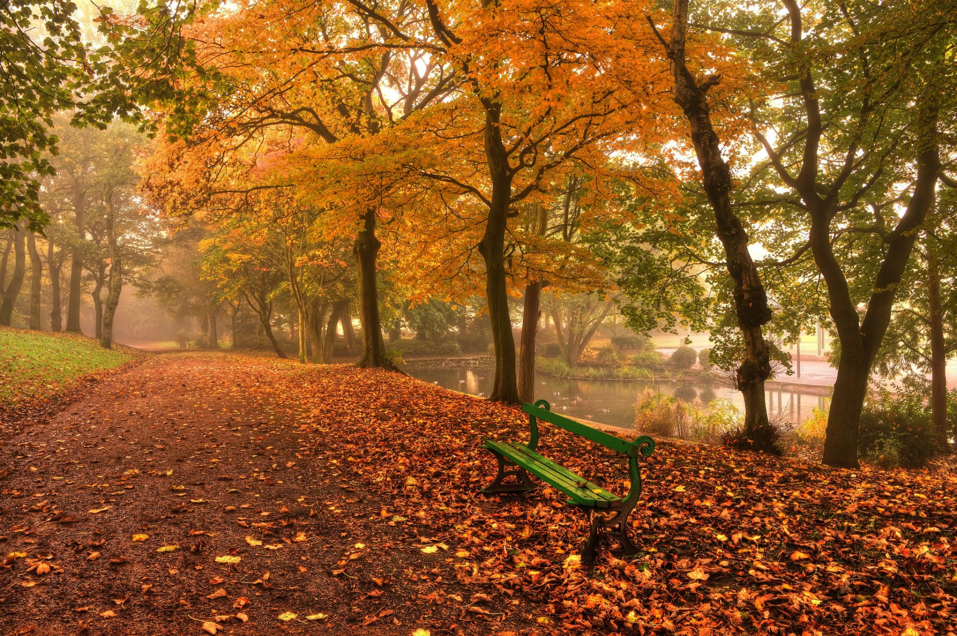 natur landschaft blätter blätter baum bäume herbst bank bank bank grün gehweg gehweg gasse fluss wasser hintergrund tapete widescreen vollbild widescreen widescreen