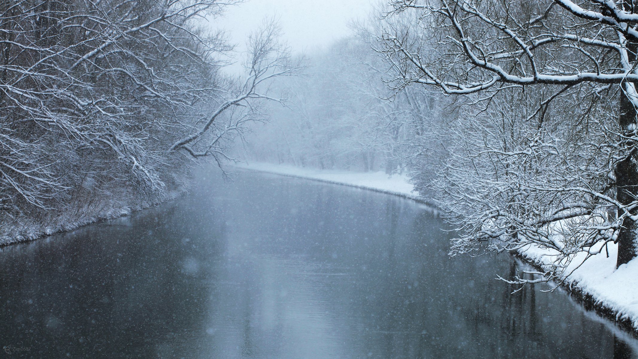 river forest tree snow winter cool