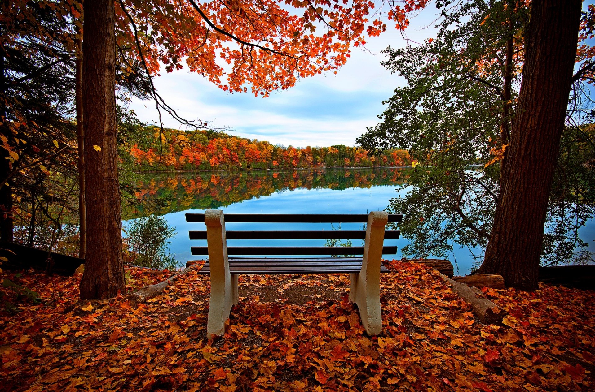 blätter bäume wald herbst zu fuß hdr natur fluss wasser reflexion himmel stand ansicht bank ansicht