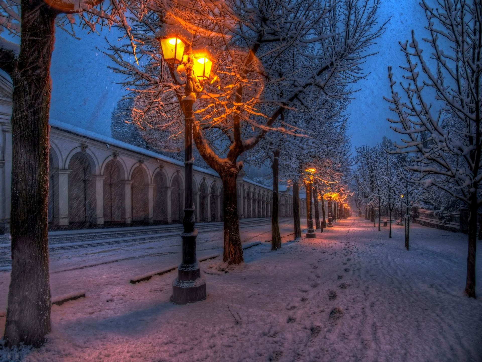 nature parc rue route marche hiver neige lanternes arbres chemin hiver