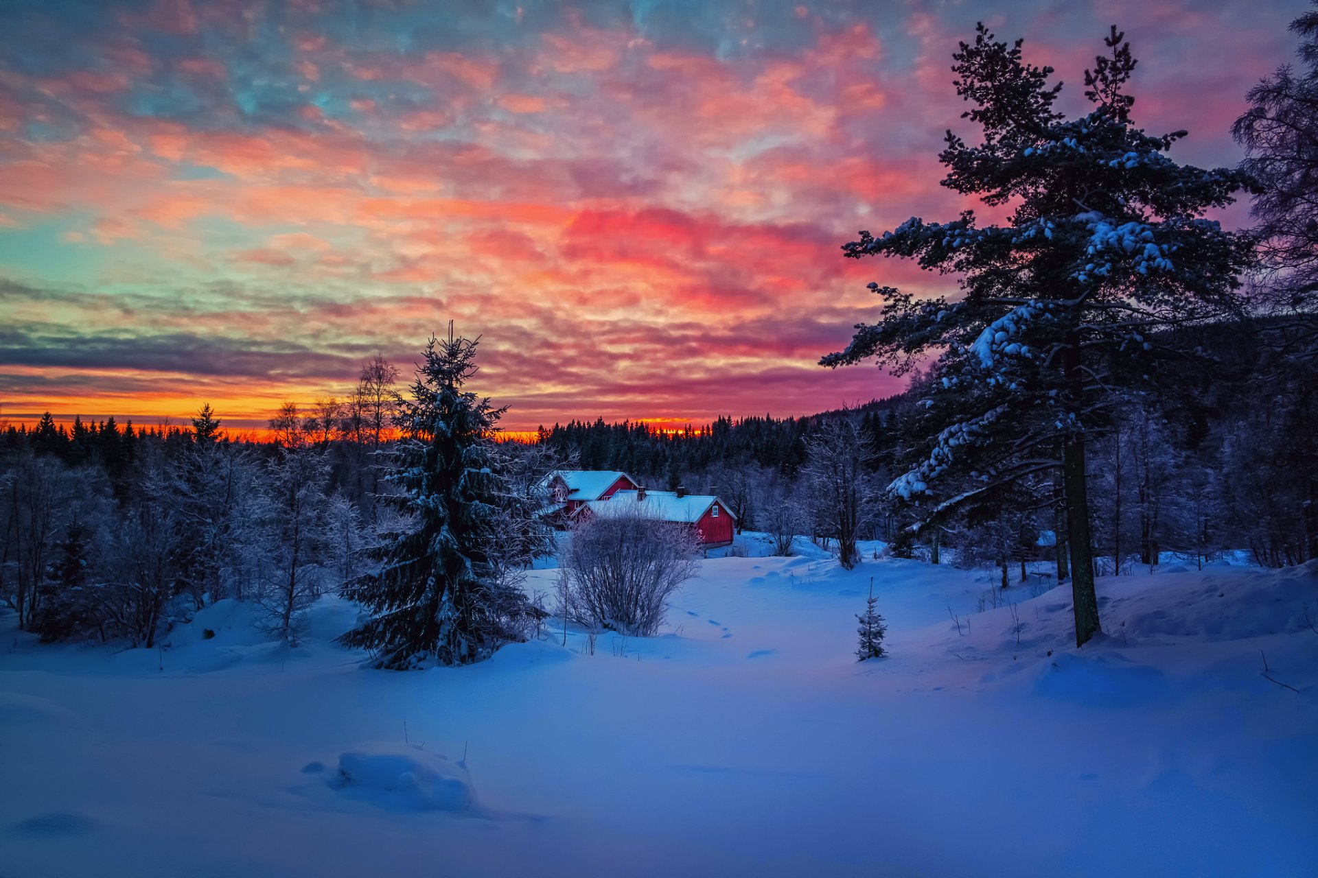 winter abend sonnenuntergang himmel wolken farbe schnee wald haus