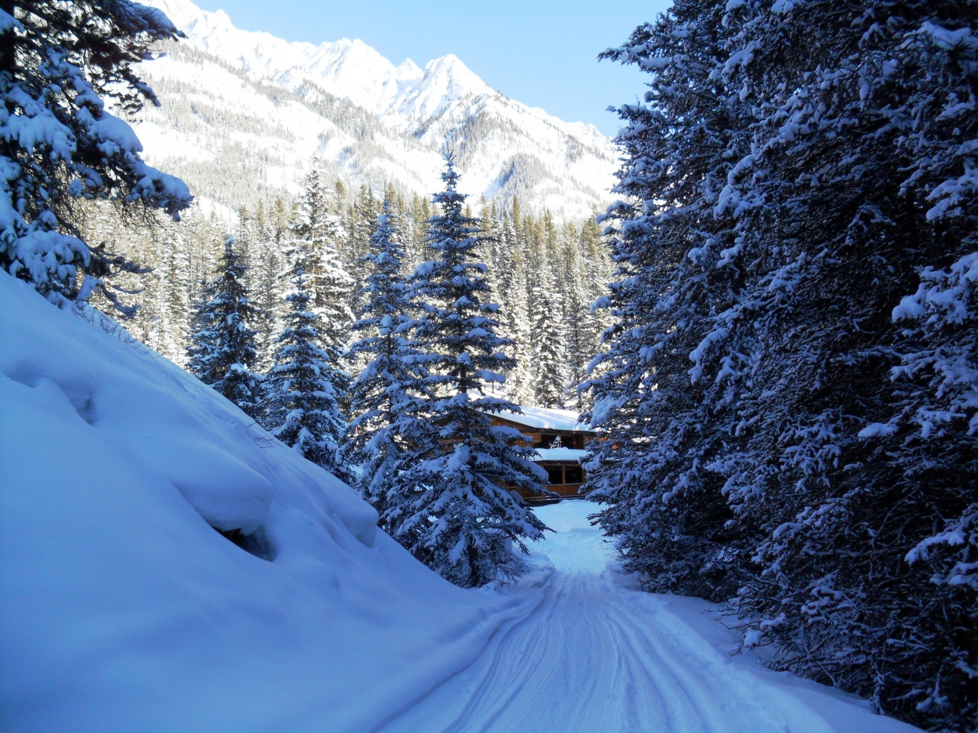 hiver parc montagnes canada neige arbres sapin banff maison nature photo