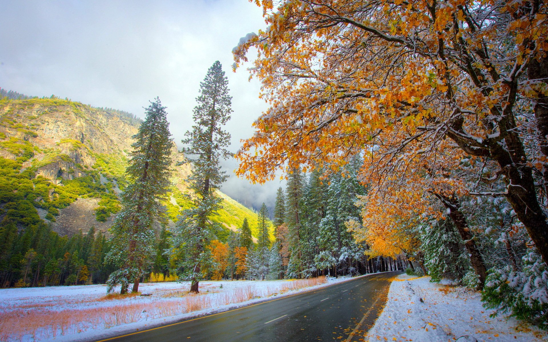 route automne neige nature