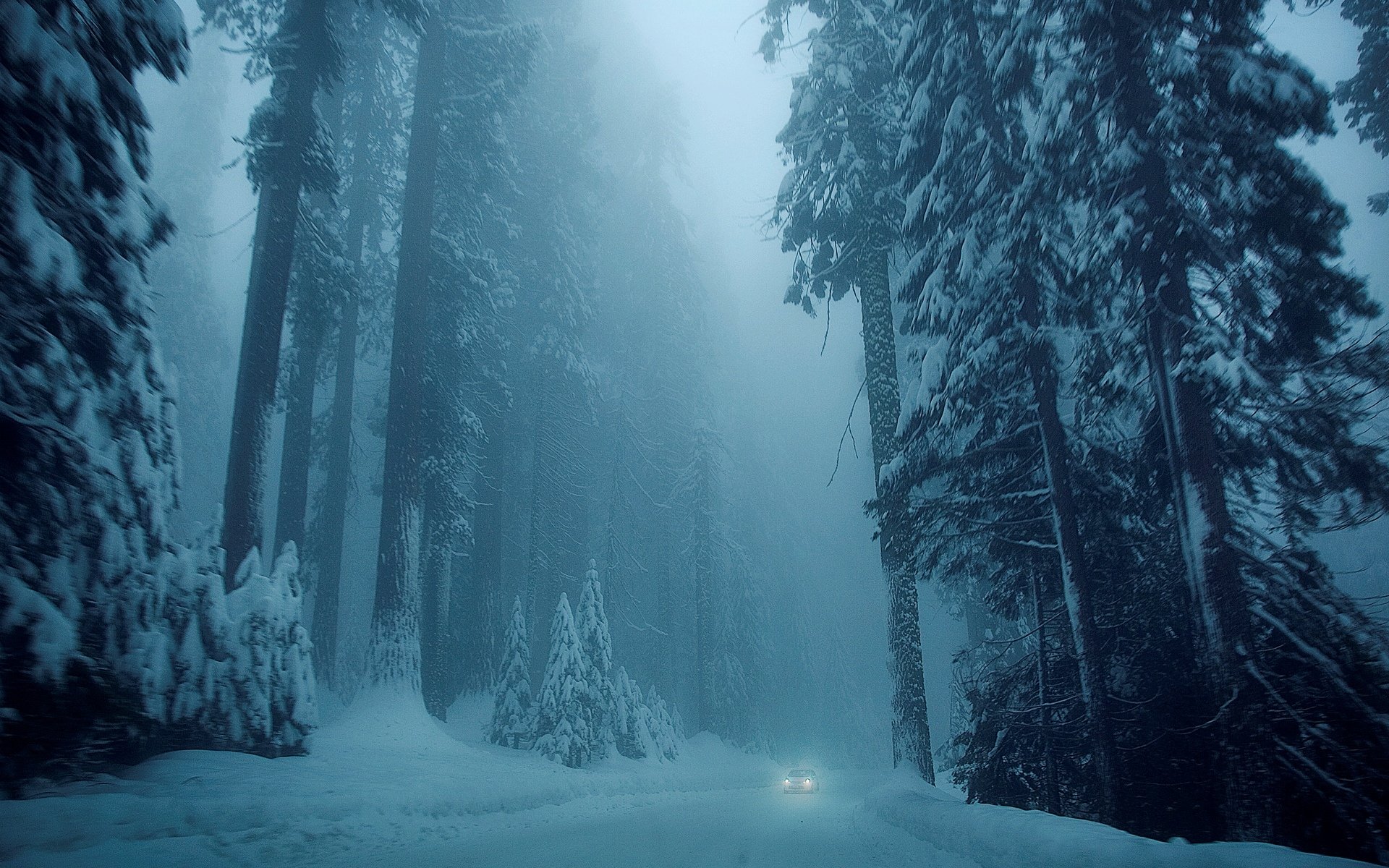 natura zima śnieg drzewo drzewa choinki droga samochód samochód zimno zima biały tło tapeta panoramiczny pełny ekran panoramiczny