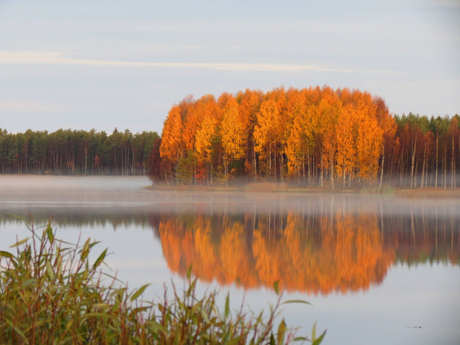 forêt automne étang brume calme