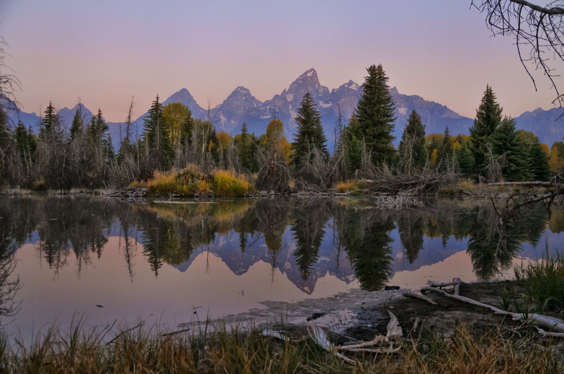 montagnes forêt lac réflexion