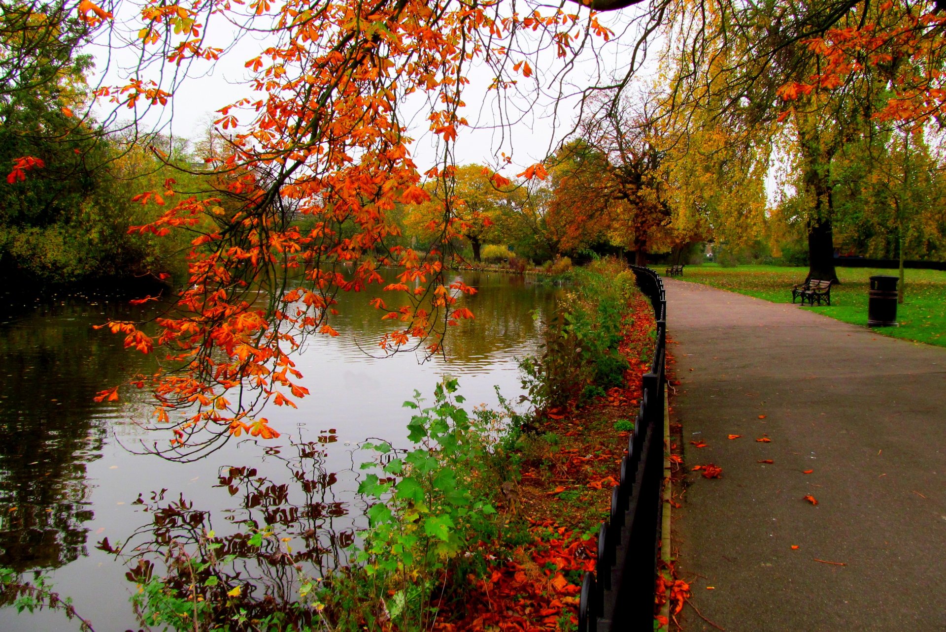 leaves park alley trees forest autumn walk hdr nature river water sky bench view fall tree view