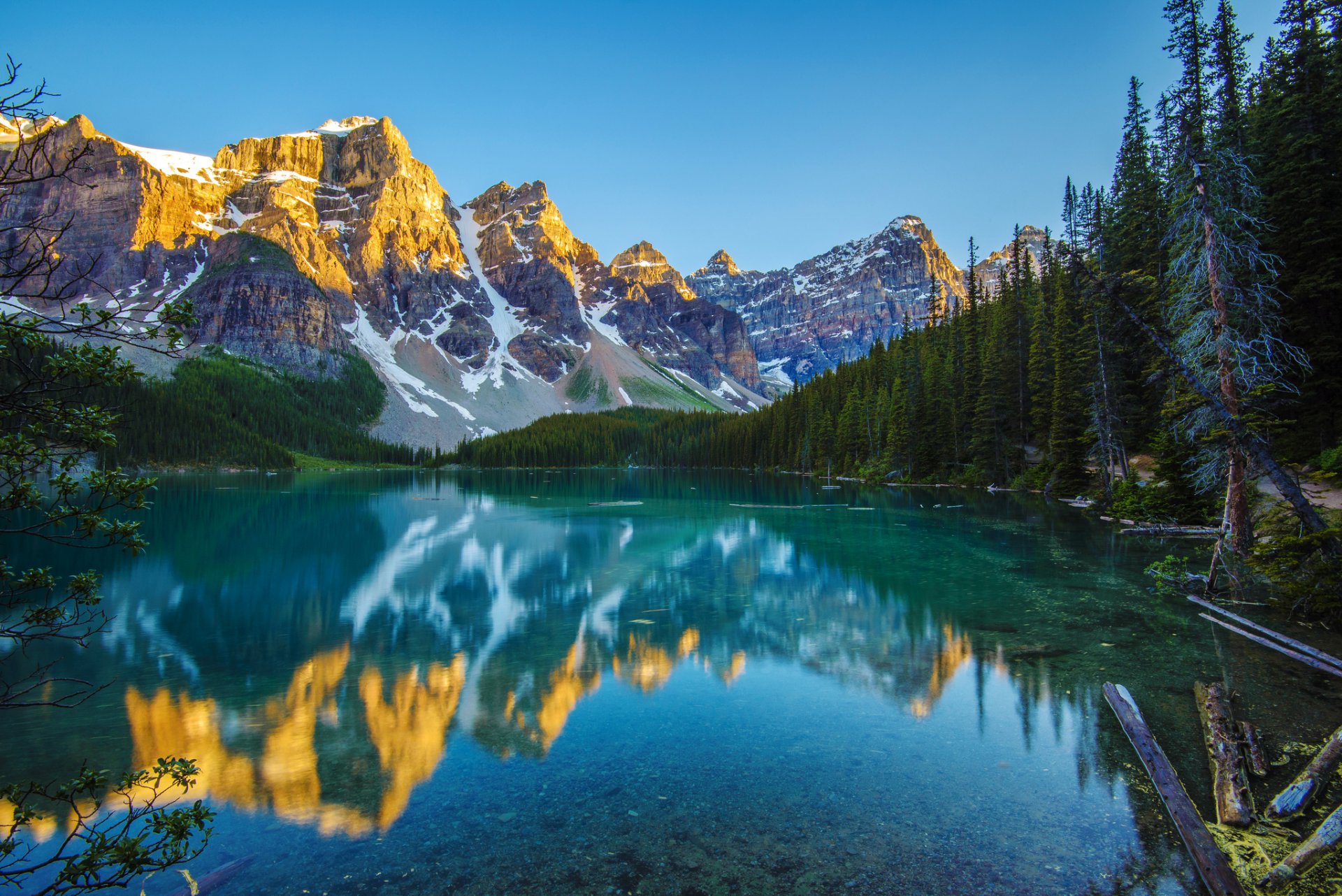 montagnes forêt lac réflexion matin