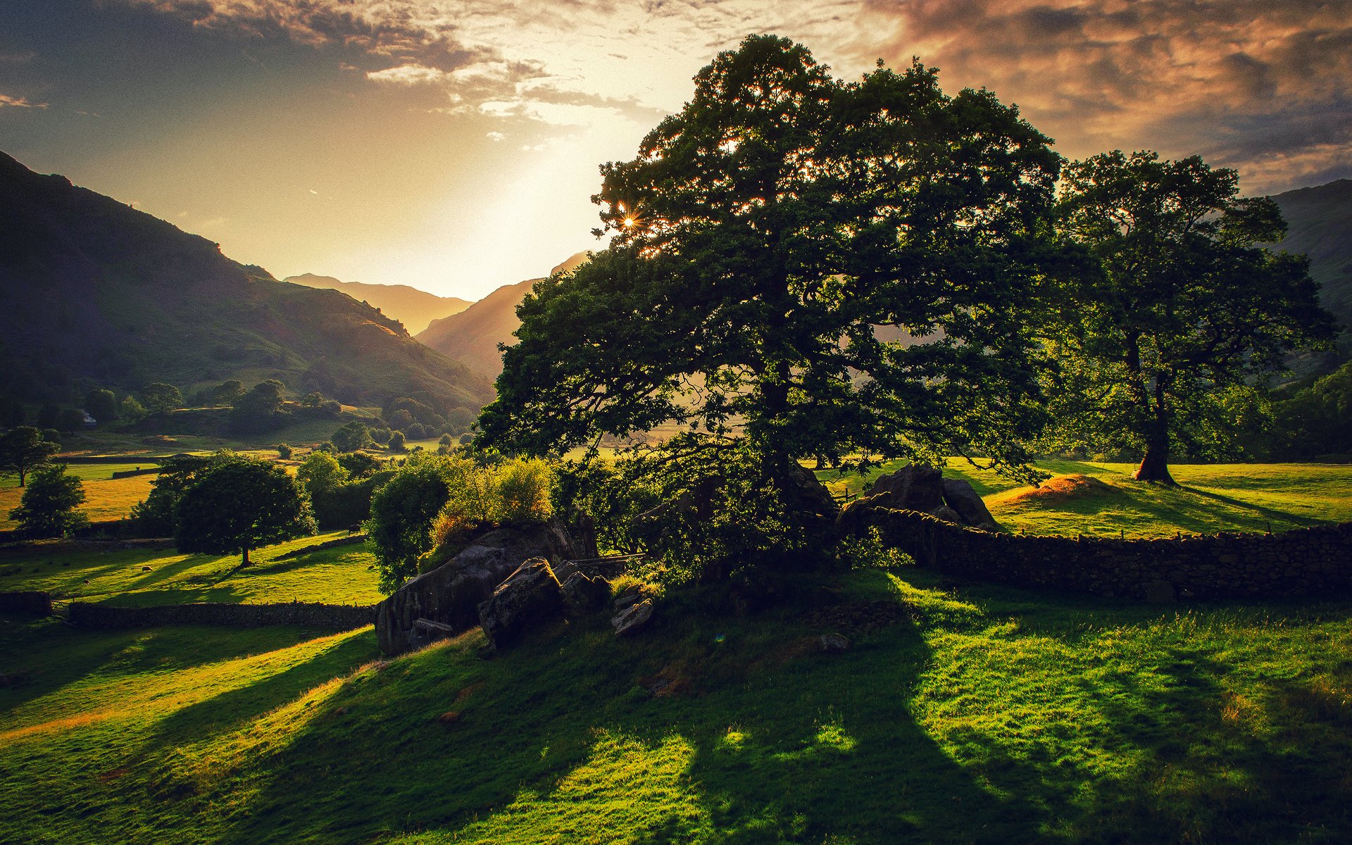 natur großbritannien baum sonne grün sommer