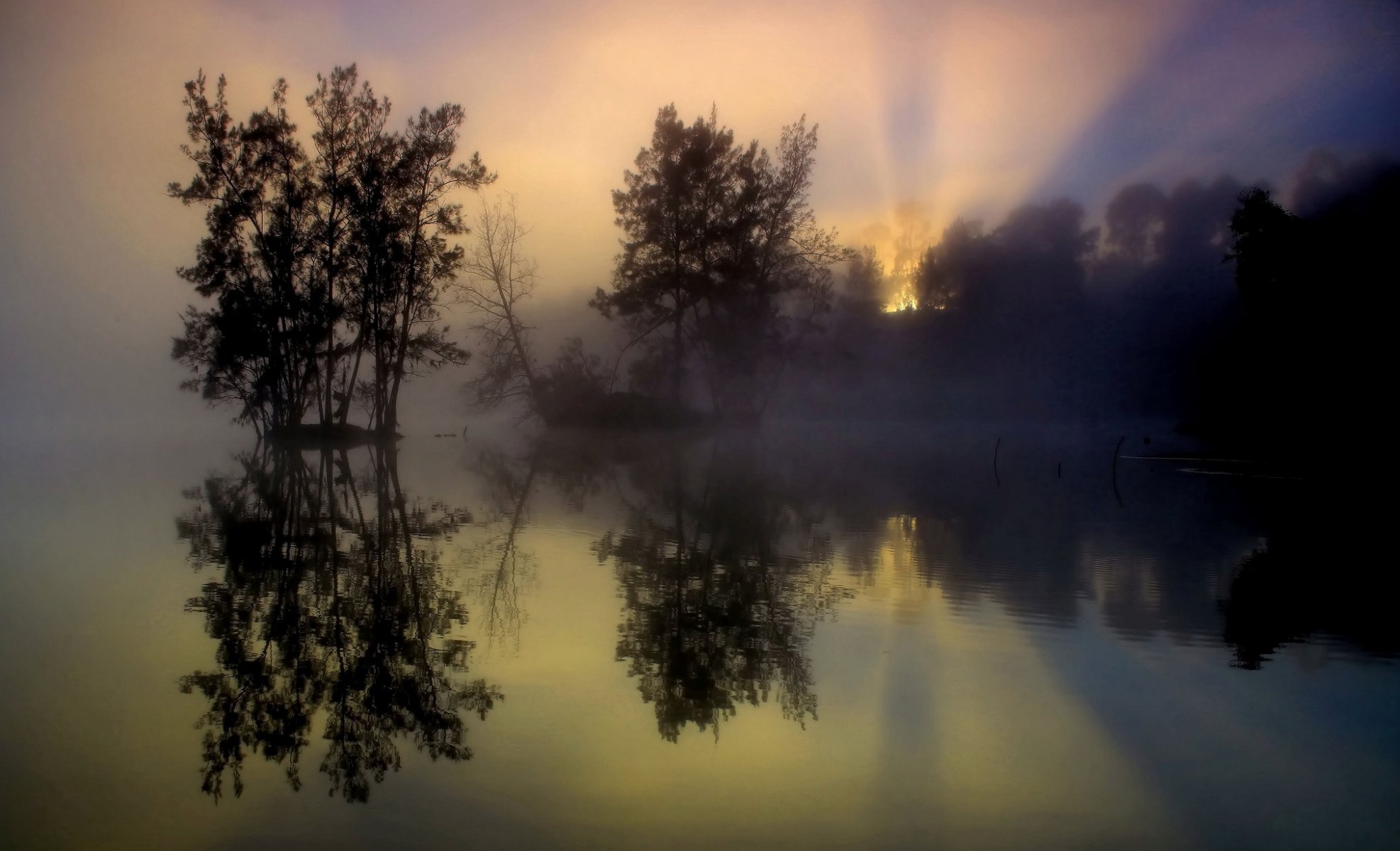 niebla árboles lago reflexión mañana amanecer