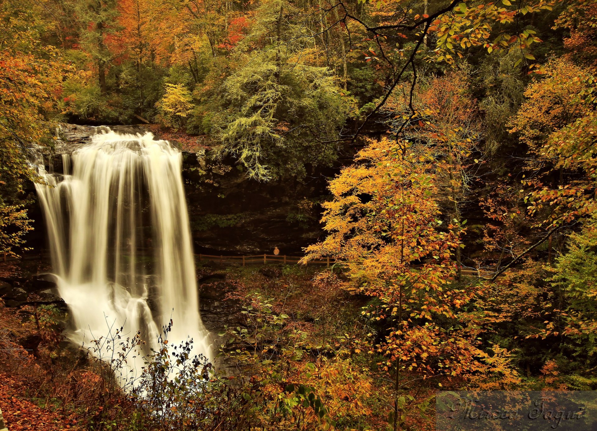 otoño bosque río cascada