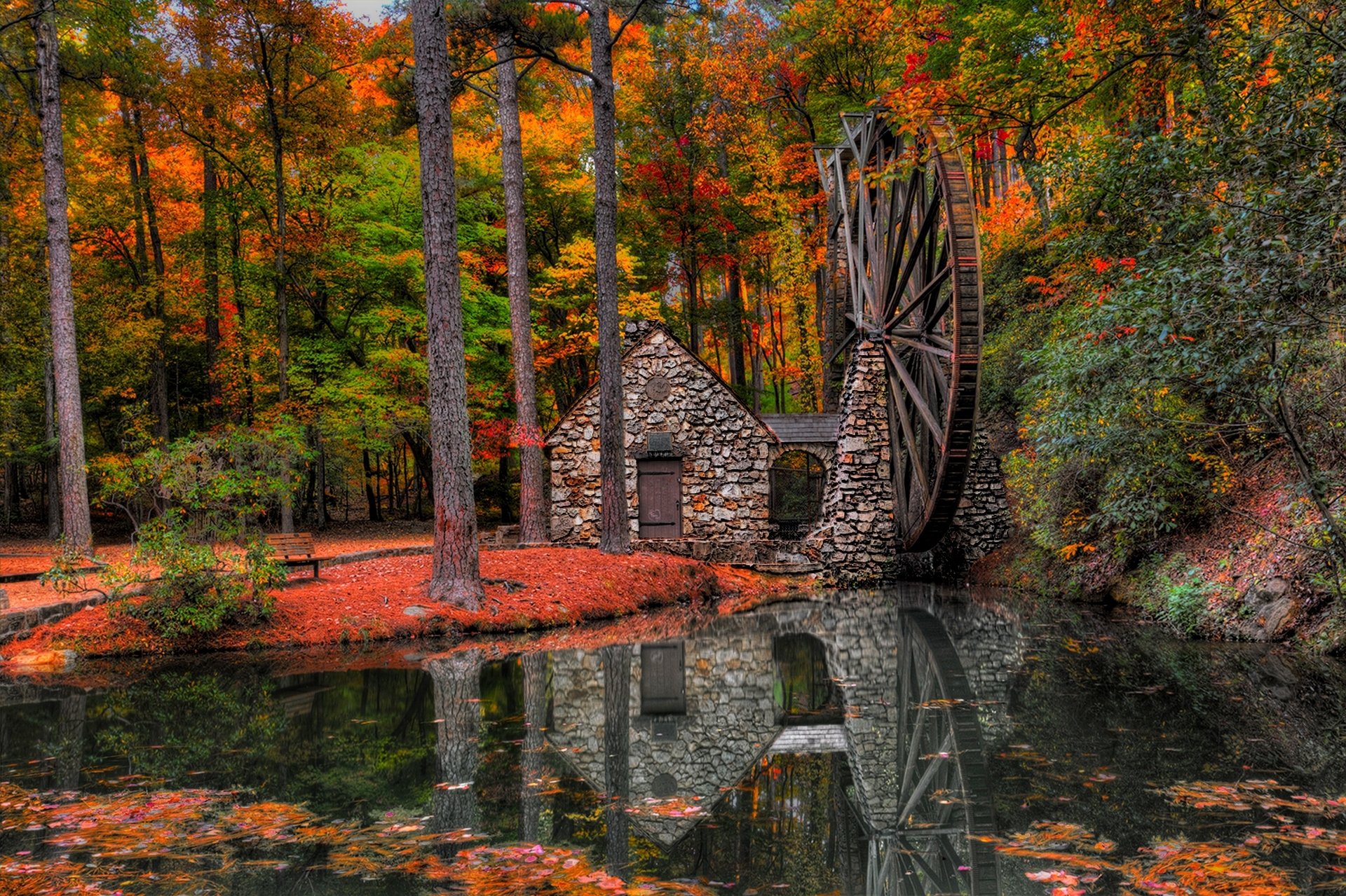 leaves water mill mill park alley trees forest autumn walk hdr nature river water view fall view trail