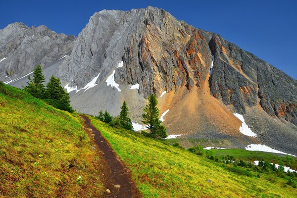 Sentier d été dans les montagnes