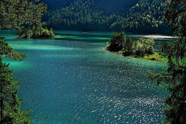 Verano en el bosque con el lago