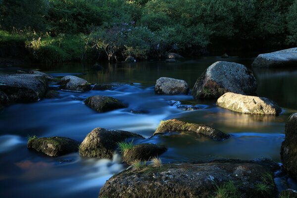 Río entre arroyo y piedra