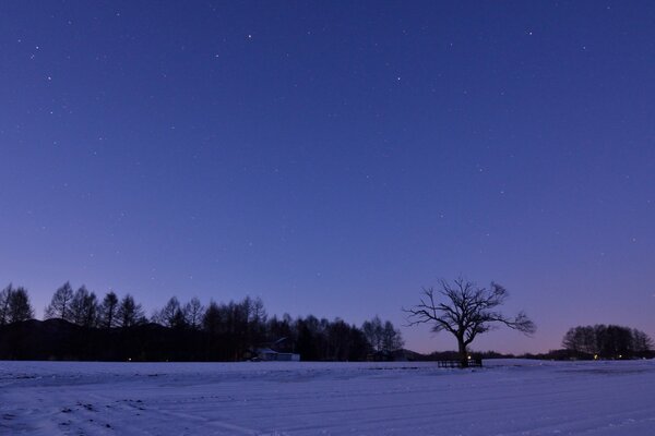 Ciel Sergeeva nuit d hiver, silence