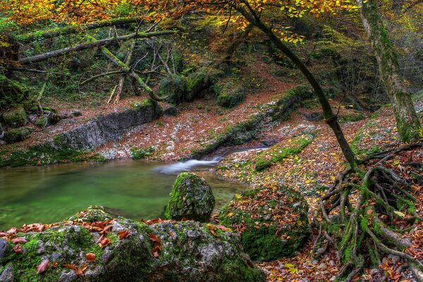 Ein See mit einem kleinen Wasserfall im Herbst in den Bergen