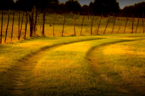 La route menant à l enfance