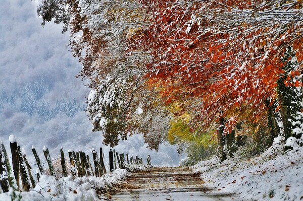 La prima neve autunnale in Francia