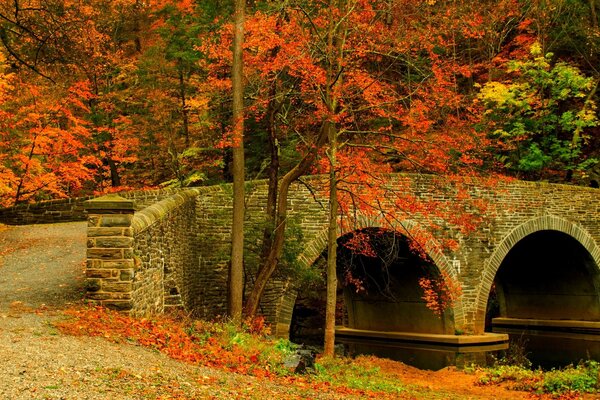 Autumn landscape on the stone bridge