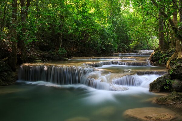 Rivières avec des cascades et une forêt de fées