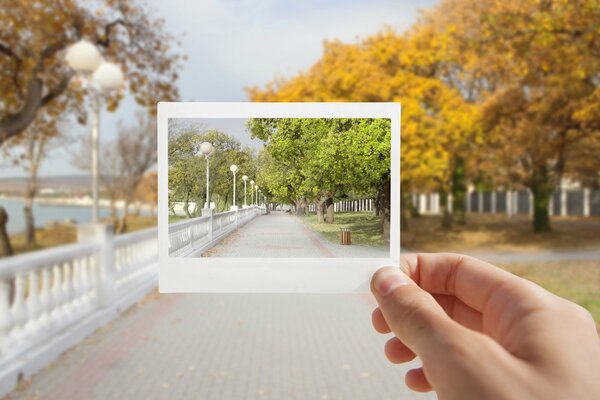 Vista del parque en verano y otoño