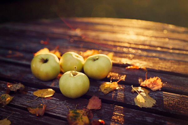 Autumn. Apple harvest on the table