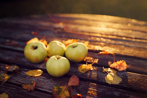 Jesień. Zbierz jabłka na stole