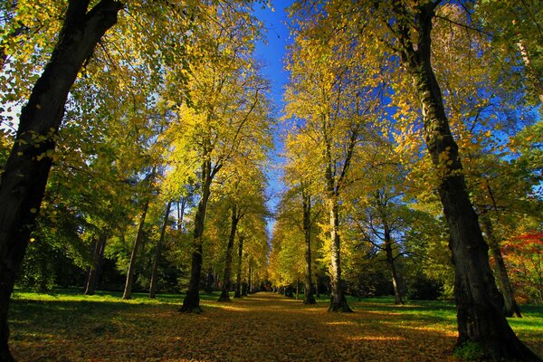 Im Herbst Gasse zum Park