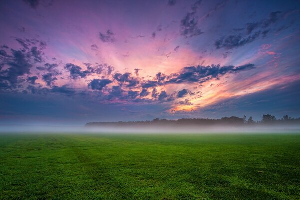 Bellissimo tramonto nel campo