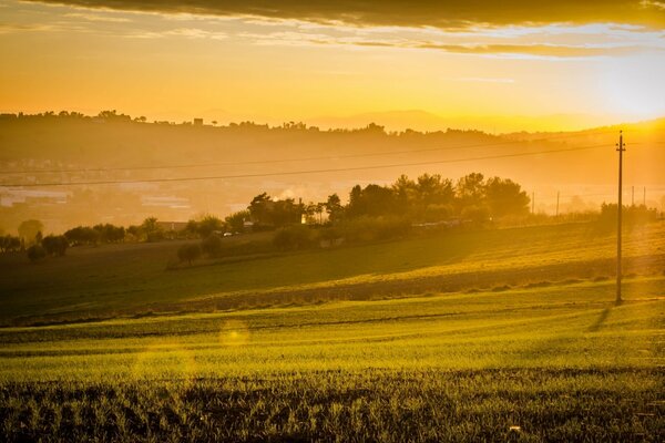 Bright sun rays in the field