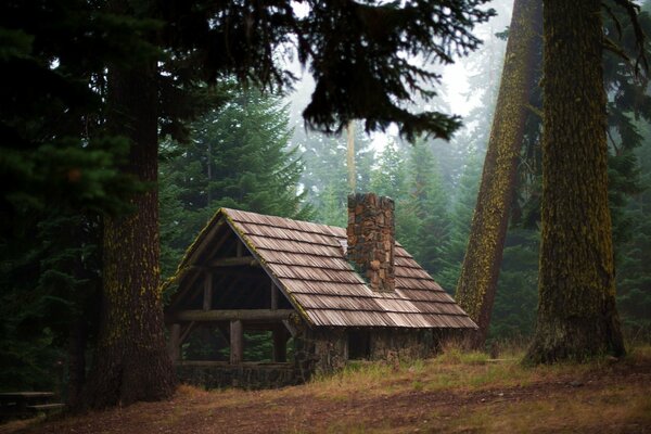 Casa di legno solitaria nel bosco