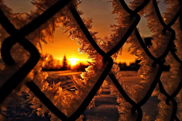 Ice stained glass on steel mesh