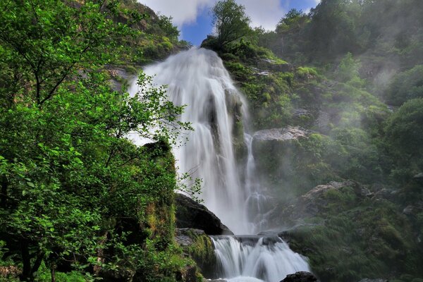 Schöner Wasserfall auf dem Hintergrund der Bäume