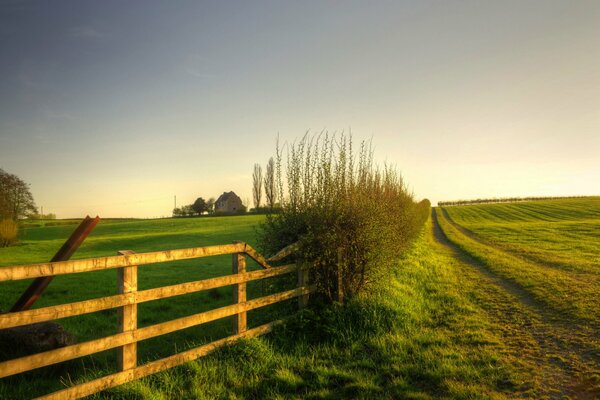 Paysage avec nature et grande clôture