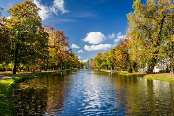 Autumn Park by the river