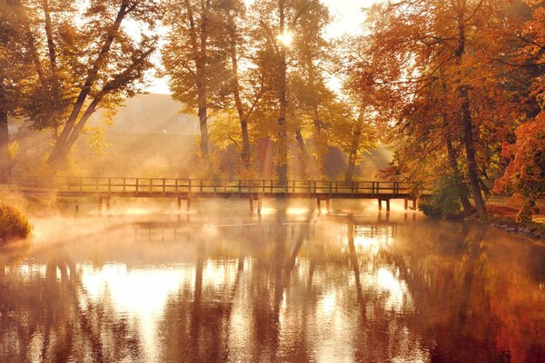 Puente en el bosque de otoño en el lago en la niebla en los rayos del sol